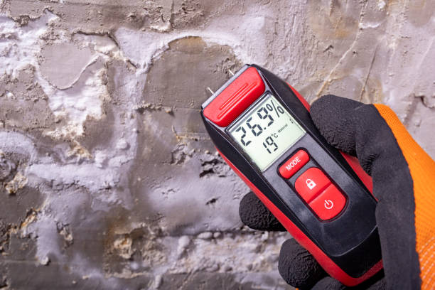 Professional Mold Remediation in Totowa, NJ