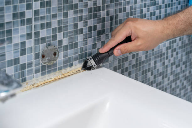 Best Health and Safety Mold Remediation in Totowa, NJ